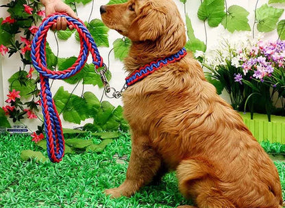 Heavy Duty Pet Dog Collar Leash Set Adjustable Obedience P Chain Collar Nylon Dog Leash Strap Lead Rope for Medium Large Dogs