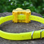 Professional Hunting Dog Beeper Chargable Dog Training Collar Dog Training Tracking Equipment Pet Electric Hunting Collars
