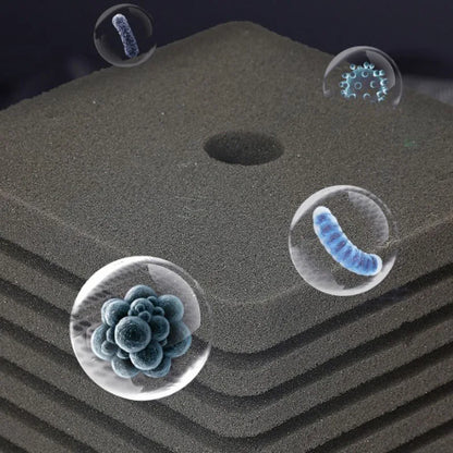 Bio Sponge Filter for Aquarium Fish Tank Shrimp Pond Air Pump Biochemical Filtration Noiseless Foam Aquarium Accessories New