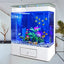 Factory Wholesale Aquariums Optiwhite Large Tank Fish Aquarium With Base Cabinet