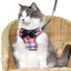 Plaid Dog Harness and Leash Set for Small Medium Dogs Cats Puppy French Bulldog Pet Bowtie Tuxedo Vest Harness