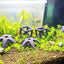 1pcs Ceramic House For Aquarium Fish Shrimps Spawn Shelter Breed House Pottery Scorpion House Canister Simulation Stone Ornament