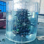 Cylindrical Acrylic Aquariums & Accessories Aquarium Oceanarium Project Sustainable Transparent any Sizes ISO9001:2015