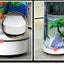 Small and medium-sized ultra-white glass hot bending tank bullet large screen ecological goldfish tank aquarium