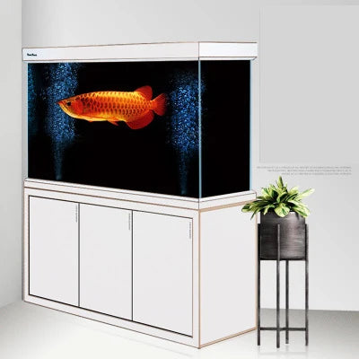 Custom Large Arowana Fish Tank glass fish tank Aquarium