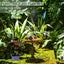 2.5W Solar Fountain Pump,with 6Nozzles and 4ft Water Pipe,Solar Powered Pump for Bird Bath,Pond,Garden and Other Places