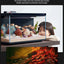 Glass Aquarium Fish Tank  Intelligent Desktop Ecological Fish Tank with WIFI Control Feeding Box Light Filter