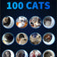 Automatic Litter Pan with Rotating CameraSealed and Odor-InsulatedMultiple Litter AvailableEasy-to-Clean Cat Litter Boxes
