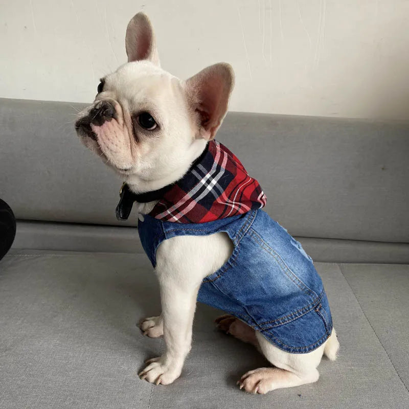 Spring Dog Denim Jacket for Small Medium Dogs Puppy Hoodies Jeans Hooded Coat Chihuahua Yorkie Beagle Clothes Pet Supplies