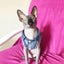 Sphinx Cat Clothes for Small Medium Large Cats, Dark Washed Cat Jeans Jacket Spring Autumn Denim Coat Cat Costume Pet Apparel