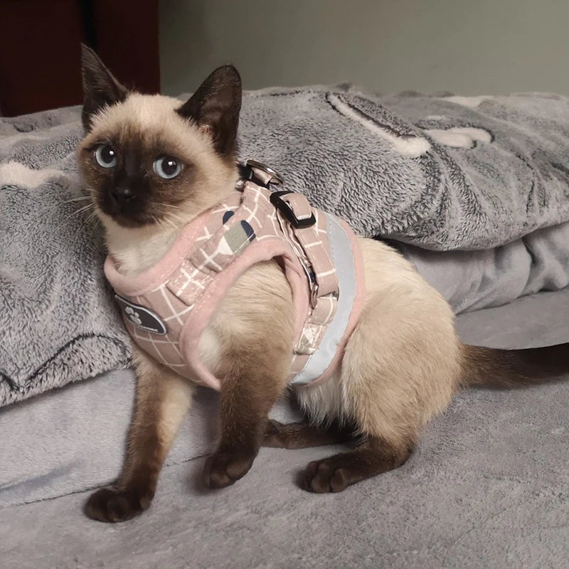 Reflective Pet Cat Harness and Leash Set for Cats Gotas Sphynx Harnesses Walking Dog Leash mascotas Accesorios szelki dla kota