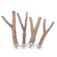 Natural Wood Pet Parrot Raw Wood Fork Tree Branch Stand Rack Squirrel Bird Hamster Branch Perches Chew Bite Toys Stick Supplies
