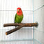 Natural Wood Pet Parrot Raw Wood Fork Tree Branch Stand Rack Squirrel Bird Hamster Branch Perches Chew Bite Toys Stick Supplies