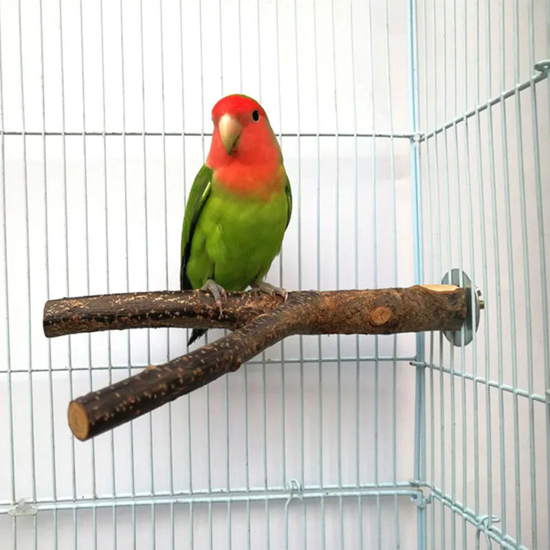 Natural Wood Pet Parrot Raw Wood Fork Tree Branch Stand Rack Squirrel Bird Hamster Branch Perches Chew Bite Toys Stick Supplies