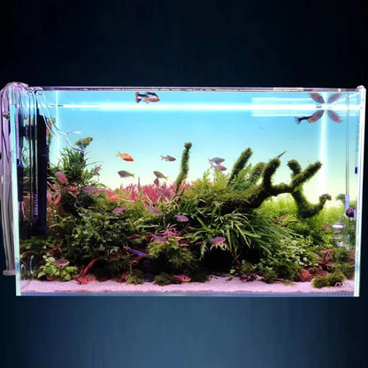 Customized Different Size Fish Tank Coral LED Aquarium fresh water plant fish light for tank