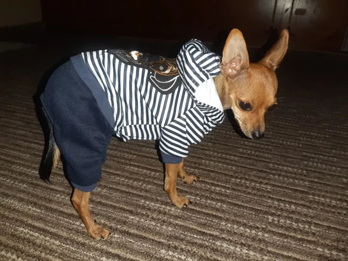 Dog Jumpsuit Spring Overalls For Dogs Hoodies Pants Set Costume French Bulldog Yorkie Chihuahua Clothes for Small Dogs Tracksuit