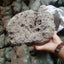 Small Size 5cm Natural Unique Shape Aquarium Fish Tank Floating Rock Stone Suspended Stones Floating Pumice Decor Rock Ornaments