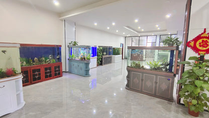 High Quality Small Breeder Box Fish Tank Aquarium Fish Tank Sale Intelligent small fish tank