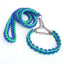 Heavy Duty Pet Dog Collar Leash Set Adjustable Obedience P Chain Collar Nylon Dog Leash Strap Lead Rope for Medium Large Dogs