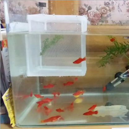 Plastic Aquarium Fish Breeding Isolation Box Fish Tank Aquarium Breeder Hatching Incubator Fish Tanks Isolator Accessories New