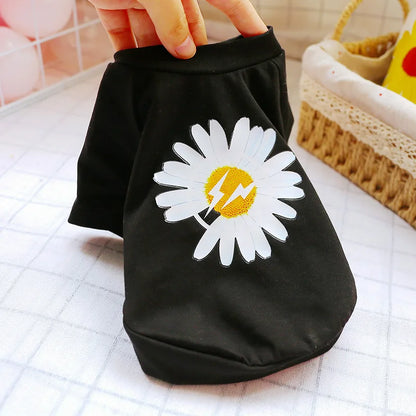 6 Color Pet Dog Cat T shirt Summer Ropa Chihuahua French Bulldog Clothes for Small Dogs Puppy Clothing ropa de perros mascotas