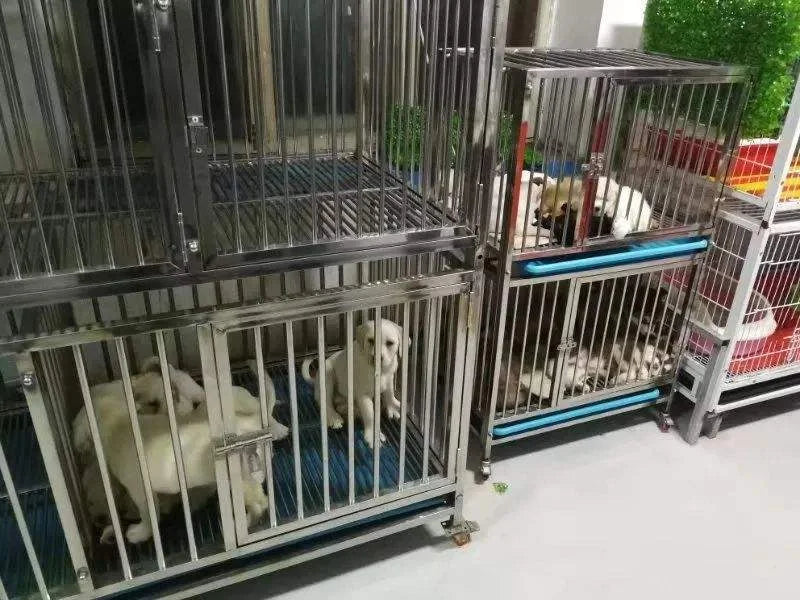 High Quality Stainless Steel Animal Cages Pet Showing Cage For Dog Cat Veterinary Kennel