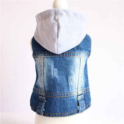 Spring Dog Denim Jacket for Small Medium Dogs Puppy Hoodies Jeans Hooded Coat Chihuahua Yorkie Beagle Clothes Pet Supplies