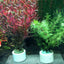 Aquarium Decorations Ceramic Ring Fish Tank Plant Fixing Pot Polka Water Plants Potted Planting Cylinder Cup Aquarium Ornaments