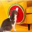 Natural Sisal Cat Scratching Board Fruit Carrot Cat Furniture Claw Sharpener Kitten Hanging Exercise Tool Quality Cat Scratcher