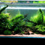 Customized Different Size Fish Tank Coral LED Aquarium fresh water plant fish light for tank