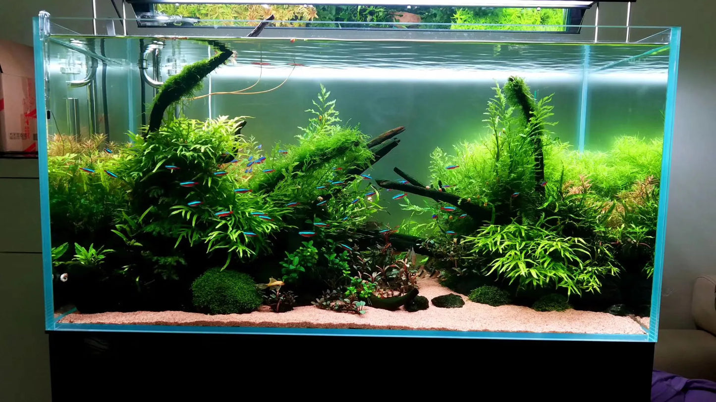 Customized Different Size Fish Tank Coral LED Aquarium fresh water plant fish light for tank