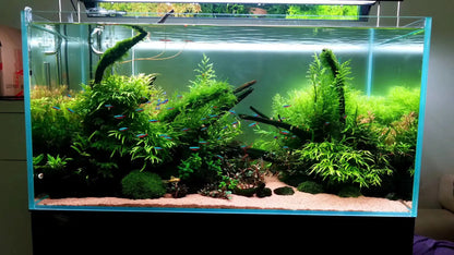 Customized Different Size Fish Tank Coral LED Aquarium fresh water plant fish light for tank