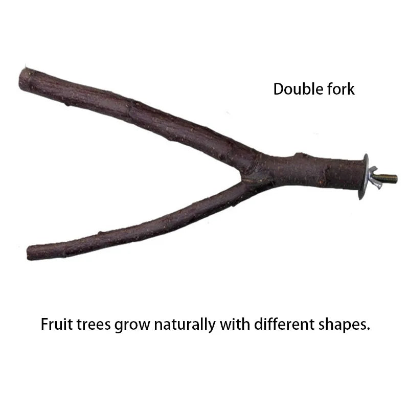 Natural Wood Pet Parrot Raw Wood Fork Tree Branch Stand Rack Squirrel Bird Hamster Branch Perches Chew Bite Toys Stick Supplies