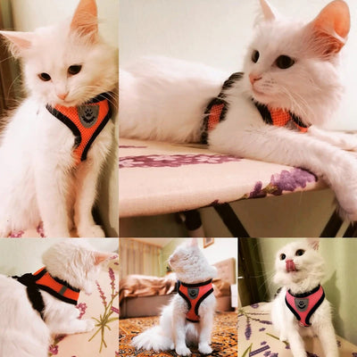 Cat Harness Leash Set for Small Dogs Adjustable Puppy Cat Harness Vest French Bulldog Chihuahua Pug Outdoor Walking Lead Leash