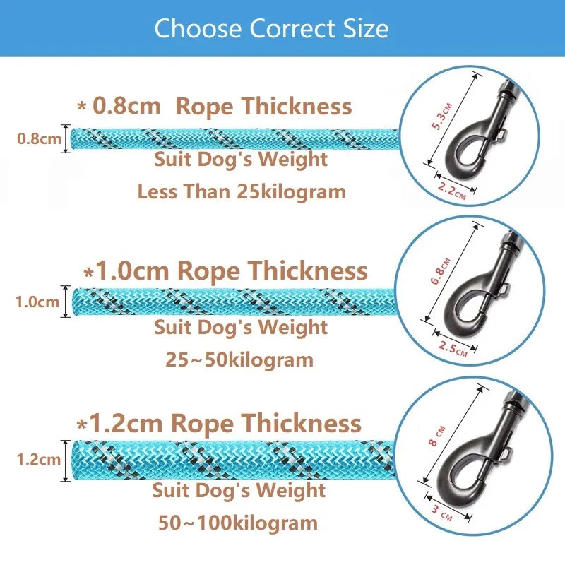 Reflective Leash