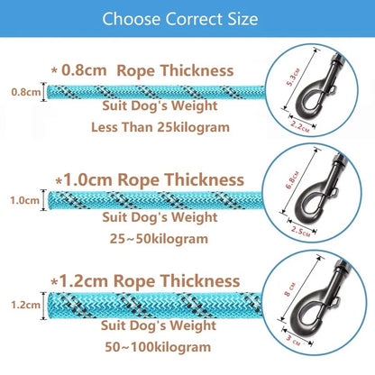 Reflective Leash