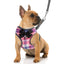 Plaid Dog Harness and Leash Set for Small Medium Dogs Cats Puppy French Bulldog Pet Bowtie Tuxedo Vest Harness