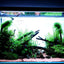 Customized Different Size Fish Tank Coral LED Aquarium fresh water plant fish light for tank