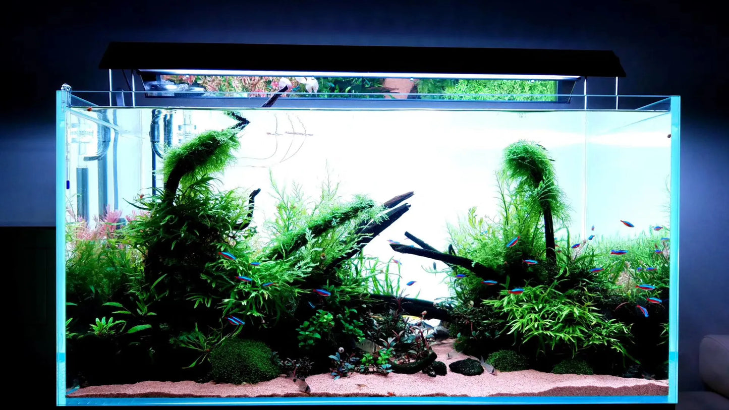 Customized Different Size Fish Tank Coral LED Aquarium fresh water plant fish light for tank