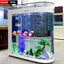 Small and medium-sized ultra-white glass hot bending tank bullet large screen ecological goldfish tank aquarium