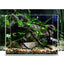 Clear and Transparent Small Aquarium Tank Rubber Strip Uniform White Glass Fish Tank Aquarium Glass