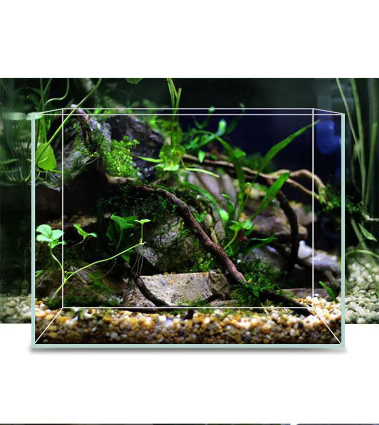 Clear and Transparent Small Aquarium Tank Rubber Strip Uniform White Glass Fish Tank Aquarium Glass