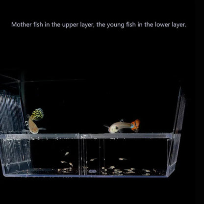 Acrylic Aquarium Fish Breeding Isolation Box Fish Tank Aquarium Breeder Double Guppies Hatching Incubator Fish Tank Accessories