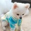 Fashion Dog Cat Hoodie Sweater Winter Pet Clothes for Small Dogs Pomeranian French Bulldog Pullovers mascotas Costume Clothing