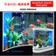 Small and medium-sized ultra-white glass hot bending tank bullet large screen ecological goldfish tank aquarium