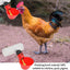 10 Sets Automatic Poultry Drinking Cups Chicken Tapping Waterer Drinker  and Chicken Waterer PVC Tee Fittings Chicken Feeder