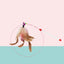 Pets Cat Feather Toys Plastic Kitten Interactive Stick Funny Cat Fishing Rod Game Wand Feather Stick Toy Pet Supplies Hot Sale