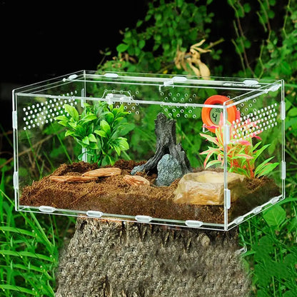 Acrylic Reptile Feeding Box Insect Lizard Spider Breeding Cage Hatching Container All-round Transparent Feeding Box