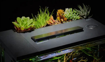 Smart Fish Tank Pro 15L Aquarium Eco-Friendly Mobile APP Control Smart Lighting System Light