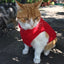 Solid Color Cat Clothes Winter Soft Kitten Sweater Sphinx Cat Fleece Vest Jacket for Small Medium Cats